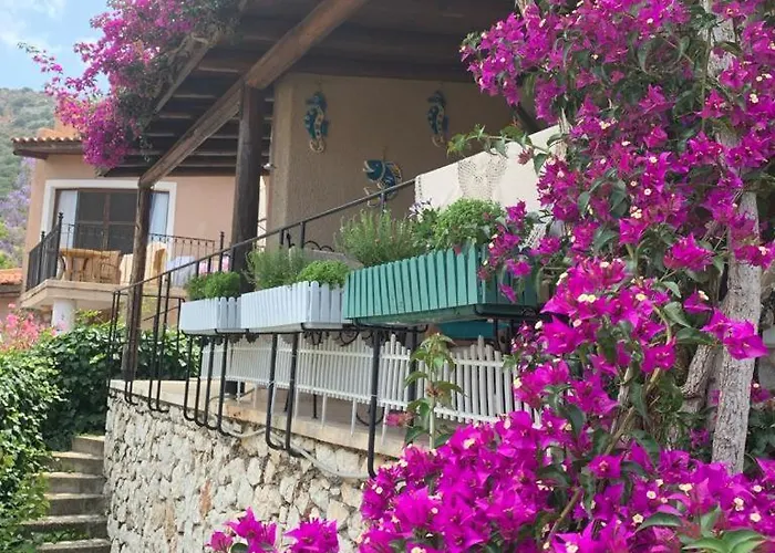 Sea View Bougainvillea 52